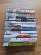 Fleischmann 'das profi-modelbahnbuch' 9925, Hobby en Vrije tijd, Modeltreinen | H0, Gebruikt, Gelijkstroom, Fleischmann, Boek, Tijdschrift of Catalogus