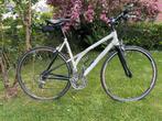 Koga Miyata, Ophalen, 28 inch, Koga Miyata, Meer dan 20 versnellingen