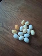 eieren voor duiven, Dieren en Toebehoren, Vogels | Duiven, Geslacht onbekend, Postduif