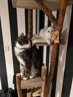 Krabpalen en klimbomen, Dieren en Toebehoren, Ophalen, Nieuw, Kommiezenlaan 19, Krabpalen en klimbomen