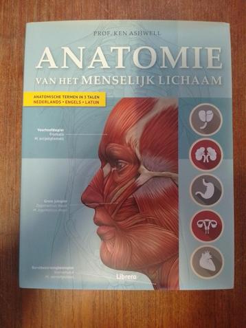 Ken Ashwell - Het menselijk lichaam beschikbaar voor biedingen