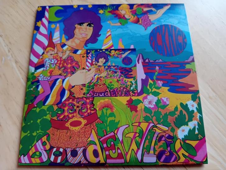 CD Boudewijn De Groot - Picknick (2024), Cd's en Dvd's, Cd's | Nederlandstalig, Verzenden