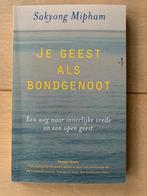 boek esotorisch, Spiritualiteit algemeen, Overige typen, Ophalen of Verzenden, Zo goed als nieuw