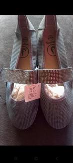 Blauw grijze  ballerina's, Kleding | Dames, Schoenen, Ophalen of Verzenden, Zo goed als nieuw, Blauw