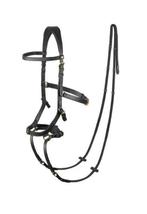 Anatomisch 3 in 1 hoofdstel, Dieren en Toebehoren, Paarden en Pony's | Hoofdstellen en Tuigage, Ophalen of Verzenden, Zo goed als nieuw