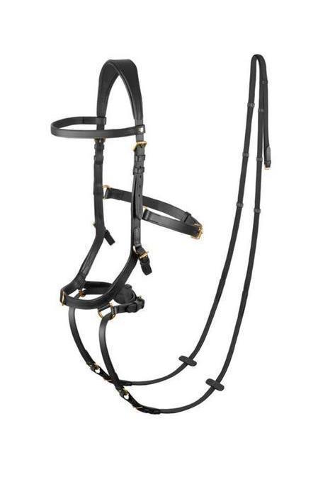 Anatomisch 3 in 1 hoofdstel, Dieren en Toebehoren, Paarden en Pony's | Hoofdstellen en Tuigage, Zo goed als nieuw, Dressuur, Ophalen of Verzenden