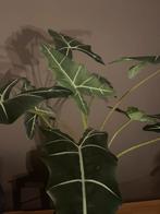 Kunstplant incl pot, Huis en Inrichting, Woonaccessoires | Kunstplanten en Kunstbloemen, Ophalen of Verzenden