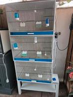 Te koop broedkooien, Dieren en Toebehoren, Ophalen, Zo goed als nieuw, Hout, Broedkooi of Kweekkooi
