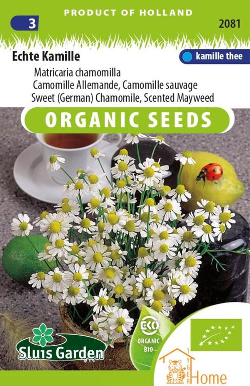 Echte Kamille Matricaria Chamomilla Zaden: Kweek Heerlijke,, Tuin en Terras, Bloembollen en Zaden, Zaad, Voorjaar, Volle zon, Ophalen of Verzenden