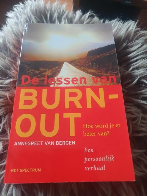 A. van Bergen - De lessen van burn-out, Boeken, Psychologie, Zo goed als nieuw, Ophalen of Verzenden