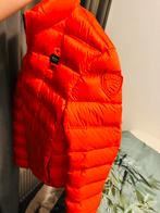 Blauer Oranje Bodywarmer - Zo goed als nieuw de maat is M, Kleding | Heren, Bodywarmers, Ophalen, Zo goed als nieuw, Oranje