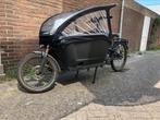 Cube cargo line bakfiets 2023(urban arrow), Ophalen of Verzenden, Zo goed als nieuw, Overige merken