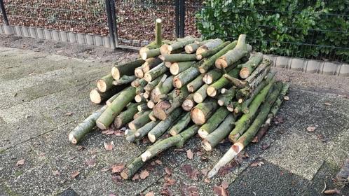 Haardhout - 3m2 - check de 3 foto's voor de omvang, Tuin en Terras, Haardhout, Blokken, Overige houtsoorten, 3 tot 6 m³, Ophalen
