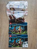 LEGO Harry Potter Verboden Bos: Groemp en Professor Omber, Kinderen en Baby's, Speelgoed | Duplo en Lego, Ophalen of Verzenden