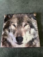 Kussenhoes, Huis en Inrichting, Woonaccessoires | Kussens, Ophalen of Verzenden, Nieuw, Vierkant