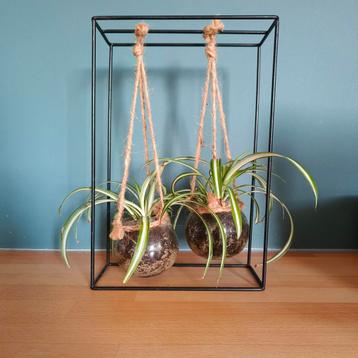 Plantenrekje met plantjes beschikbaar voor biedingen