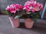 2 roze kunstplantjes, Overige typen, Ophalen of Verzenden, Zo goed als nieuw