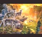 Diamond painting Wolven natuur 40x50 full drill. Nieuw, Ophalen of Verzenden, Nieuw