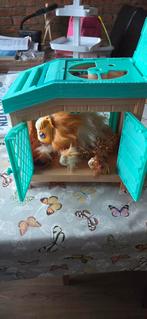Little Pets Actieve Cavia met accessoires, Ophalen, Gebruikt, Overige typen