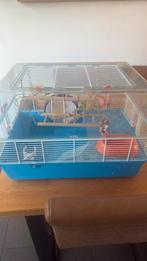 Hamster kooi +toebehoren, Dieren en Toebehoren, Knaagdieren, Meerdere dieren, Hamster, Voor 1 juli 2024, Tam