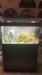 Juwel rio 125 overcompleet, Dieren en Toebehoren, Vissen | Aquaria en Toebehoren, Ophalen, Zo goed als nieuw, Leeg aquarium