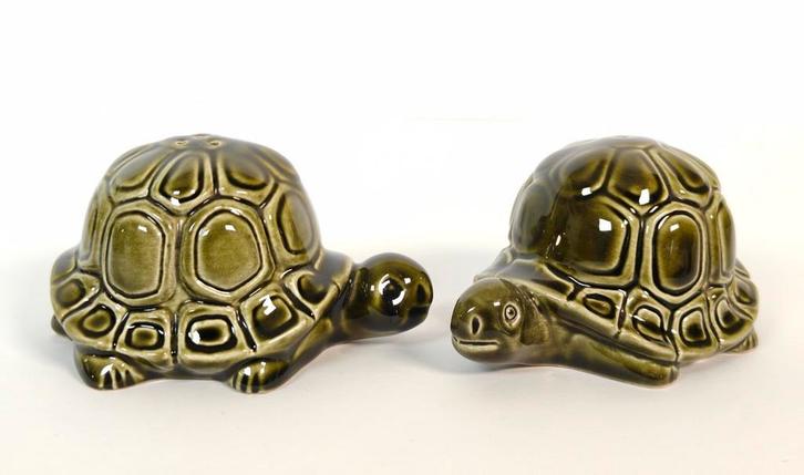 Schildpad peper en zout stel. Jaren 70. Carlton ware. Groot., Antiek en Kunst, Curiosa en Brocante, Ophalen of Verzenden