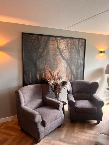 Twee Klassieke Fauteuils beschikbaar voor biedingen