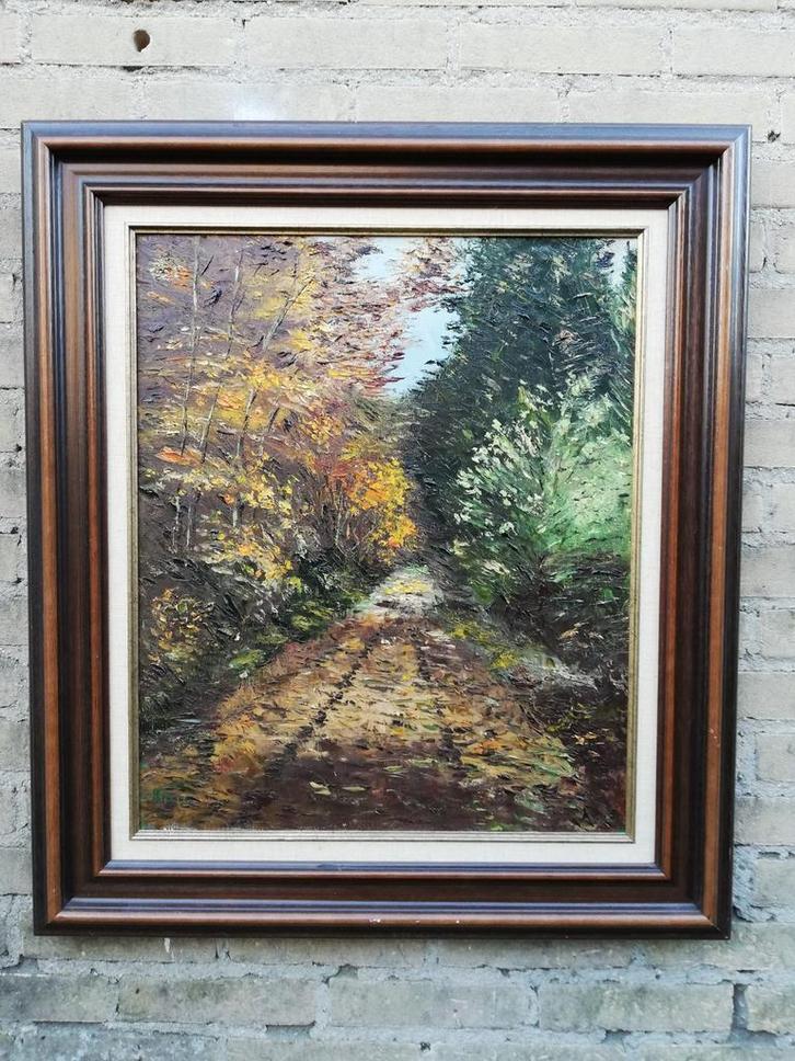 Realistisch bosgezicht. Impasto. Olie/doek. 70/80 cm., Antiek en Kunst, Kunst | Schilderijen | Klassiek, Ophalen