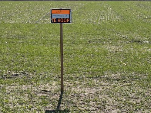 Landbouwgrond 31,88 are in Molenbeersel, Zakelijke goederen, Agrarisch | Agrarisch Onroerend goed, Ophalen