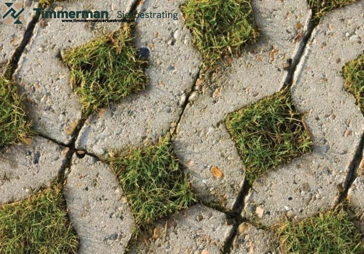 Grasbetontegels 40x60 - Grastegels A-keus, 9 of 10 of 12 dik, Tuin en Terras, Tegels en Klinkers, Overige typen, Beton, Ophalen of Verzenden