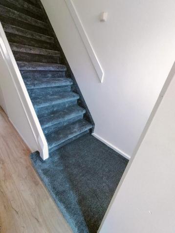 Laat de tapijtwinkel naar u toe komen! beschikbaar voor biedingen
