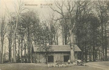 (379-156-021) Haarlem Hertenkamp beschikbaar voor biedingen