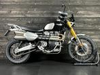 Triumph SCRAMBLER 1200 XE (bj 2022), Bedrijf, Meer dan 35 kW, Toermotor, 1200 cc
