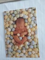 ANNE GEDDES   BABY IN EGGS  1999, Verzamelen, Ansichtkaarten | Themakaarten, Ophalen of Verzenden