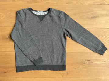 H&M trui, maat 146-152, grijs, crew sweatshirt beschikbaar voor biedingen