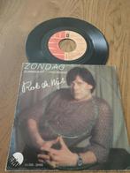 VINYL SINGLE  ROB DE NIJS  1979, Cd's en Dvd's, Ophalen of Verzenden, Zo goed als nieuw, Overige formaten, Levenslied of Smartlap