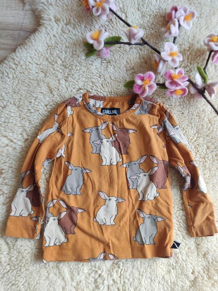 CarlijnQ Truitje Maat 74/80, Kinderen en Baby's, Babykleding | Maat 74, Zo goed als nieuw, Jongetje of Meisje, Shirtje of Longsleeve
