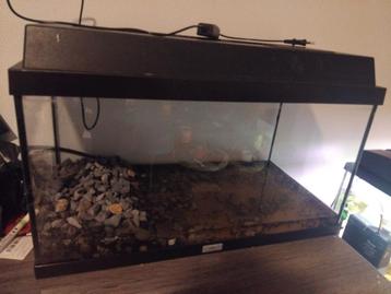 Aqarium 75 liter beschikbaar voor biedingen