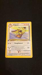 Pidgeot 24/64 1st Edition Jungle, Ophalen of Verzenden, Zo goed als nieuw, Losse kaart