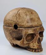 levensechte miniatuur schedel, Ophalen of Verzenden, Gebruikt