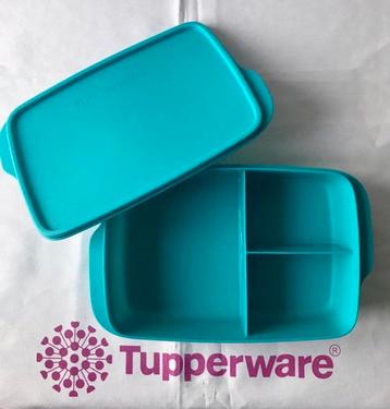 Tupperware vakjes Lunchbox/Broodtrommel