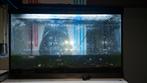 Aquarium 5830x38 met soil en evt wildgroei garnalen, Ophalen