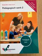 Pedagogisch Werk 2 - Angerenstein Welzijn, Ophalen of Verzenden, Gelezen, MBO