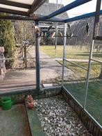 Turquoisine parkieten, Dieren en Toebehoren, Meerdere dieren, Parkiet