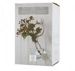 RIVIÈRA MAISON CORDOBA HANGING VASE, Ophalen, Nieuw, Glas, Minder dan 50 cm