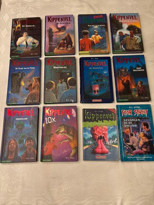 RL Stine Kippenvel en Fear street 12 hardcover boeken set!, Boeken, Kinderboeken | Jeugd | onder 10 jaar, Gelezen, Ophalen of Verzenden