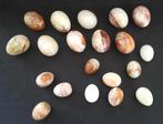 20 Mooie en decoratieve onyx eieren, Ophalen of Verzenden, Mineraal