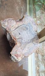 Bijzettafel versteend hout / Petrified wood stool, Ophalen, Fossiel