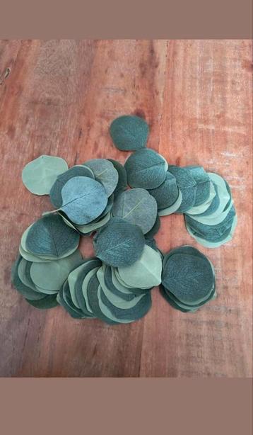 Kunst Eucalyptus Blaadjes - Decoratie beschikbaar voor biedingen