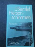 Hersenschimmen J Bernlef, Boeken, Literatuur, Ophalen of Verzenden, Gelezen, Nederland
